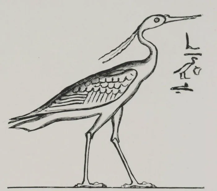 Painting of Bennu bird 