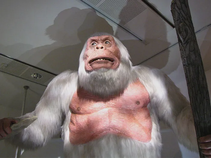 Sculpture of Yeti in a museum 