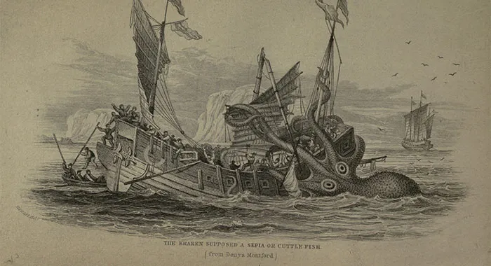 Kraken