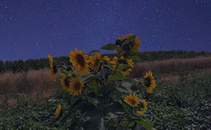 I Photographed This Ukrainian Village Because It Is My Solace That Inspires Me (30 pics)