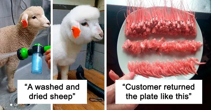 This Online Group Is Dedicated To Things That Are Inexplicably Satisfying, Here Are 50 Of The Best Ones (New Pics)