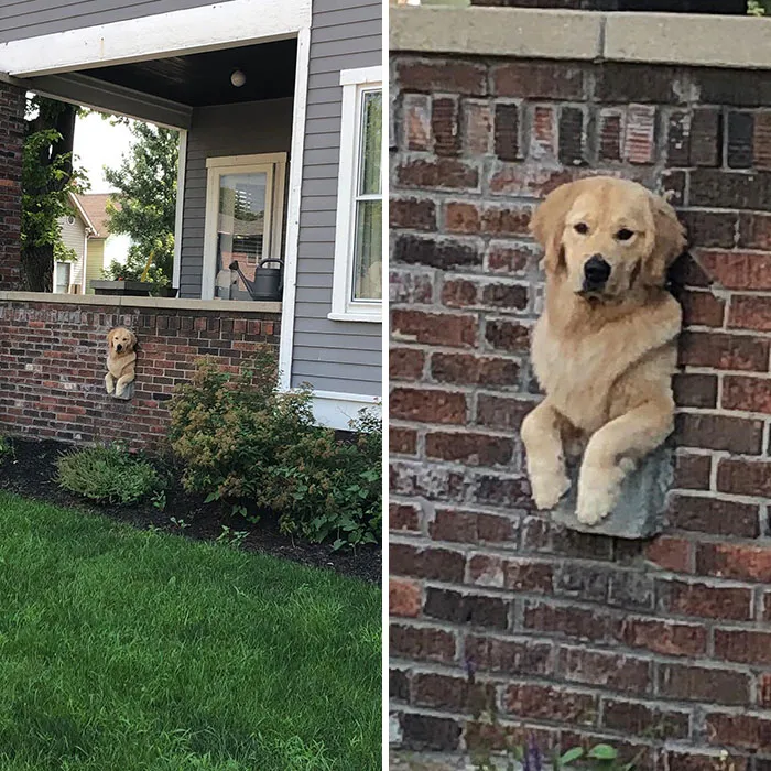 Perfect Fit
