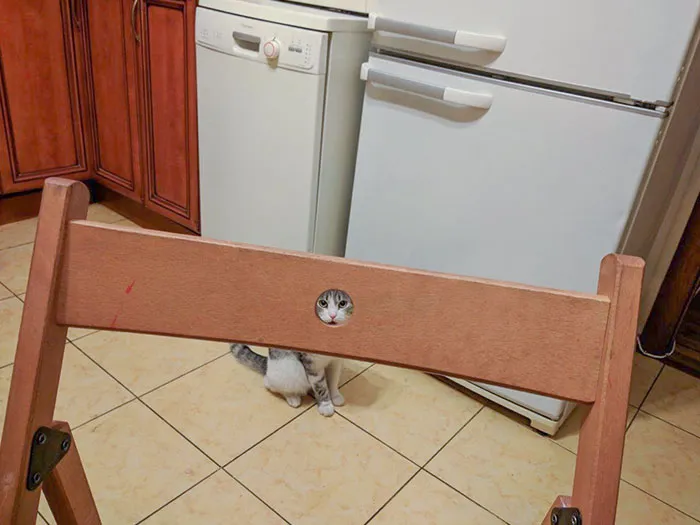 A Perfect Fit