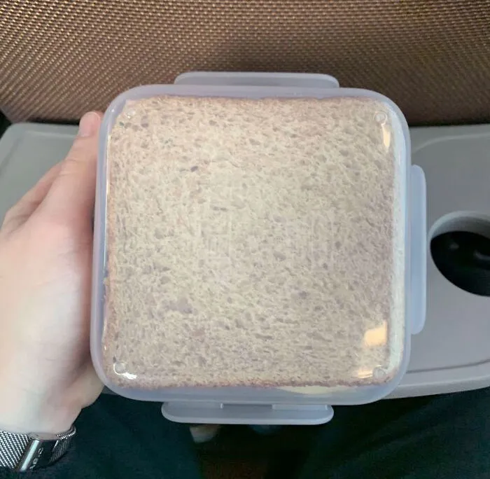 My Sandwich Fits Perfectly In This Lunch Box
