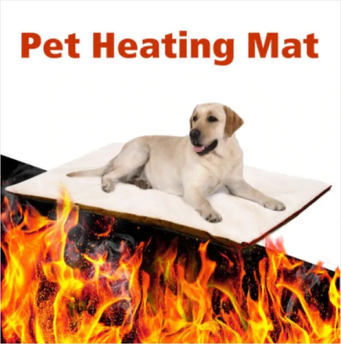 This Magic Carpet Ride Through Hell... For Your Dog