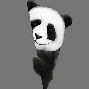 Panda Cub