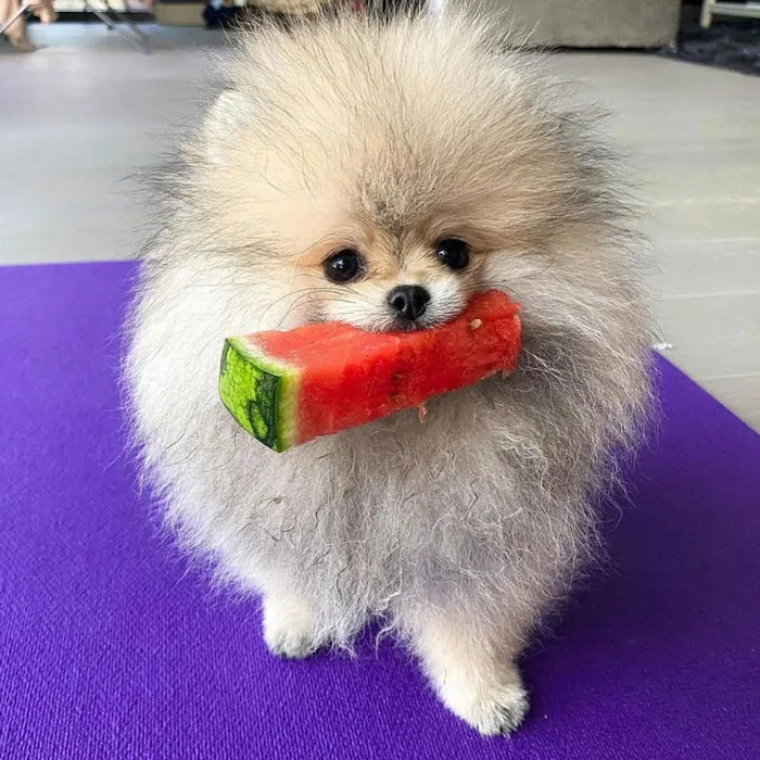 Storm And A Watermelon
