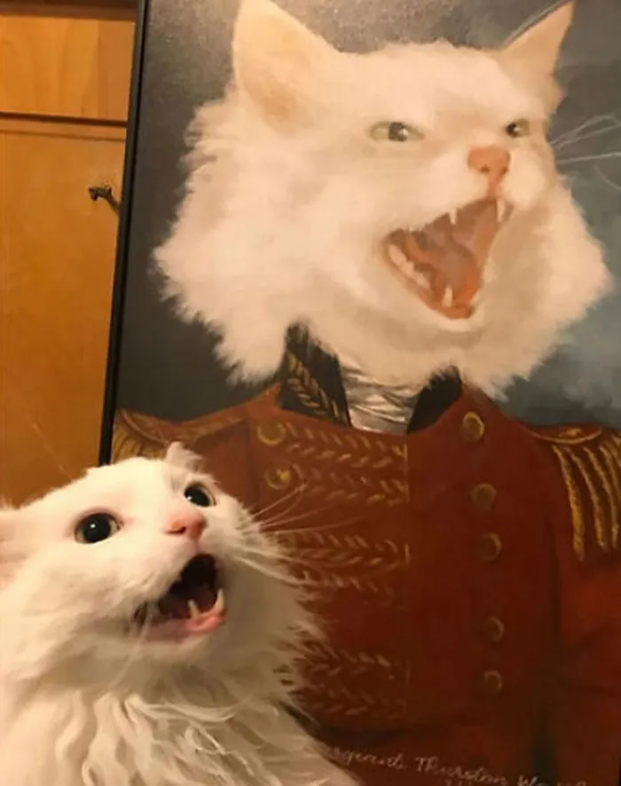 Al menos el "gatito lindo" sonríe más que su pintura