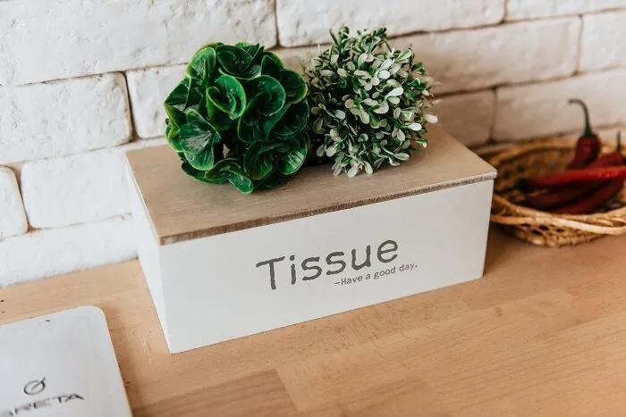 Pretty Tissue Box In The Kitchen 