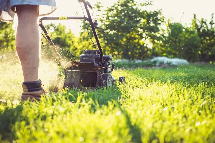 Person Mowing Lawn On A Sunny Day 