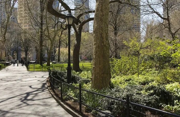 "Europeans, What Do You Imagine Life In The United States To Be Like?" (30 Answers)