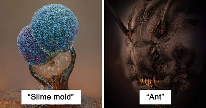 Here Are The Best Microscopic Photos, As Announced By The Nikon Small World Photomicrography Competition 2022 (35 Pics)