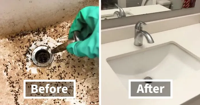 Psychology Student Deep Cleans “Unlivable” Homes To Help Their Owners’ Mental Health