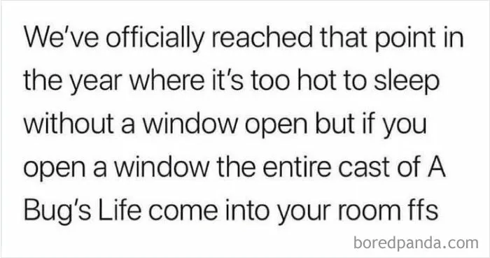 “Britain Relatable”: 40 Funny British Memes To Crack You Up