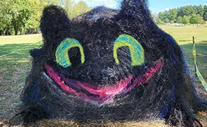 16 Hay Bales That I Sculpted To Look Like Pop-Culture Characters For Last Year’s Halloween (New Pics)