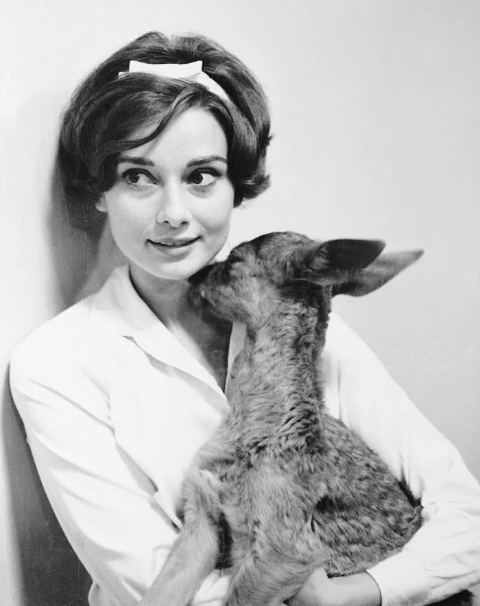 Audrey