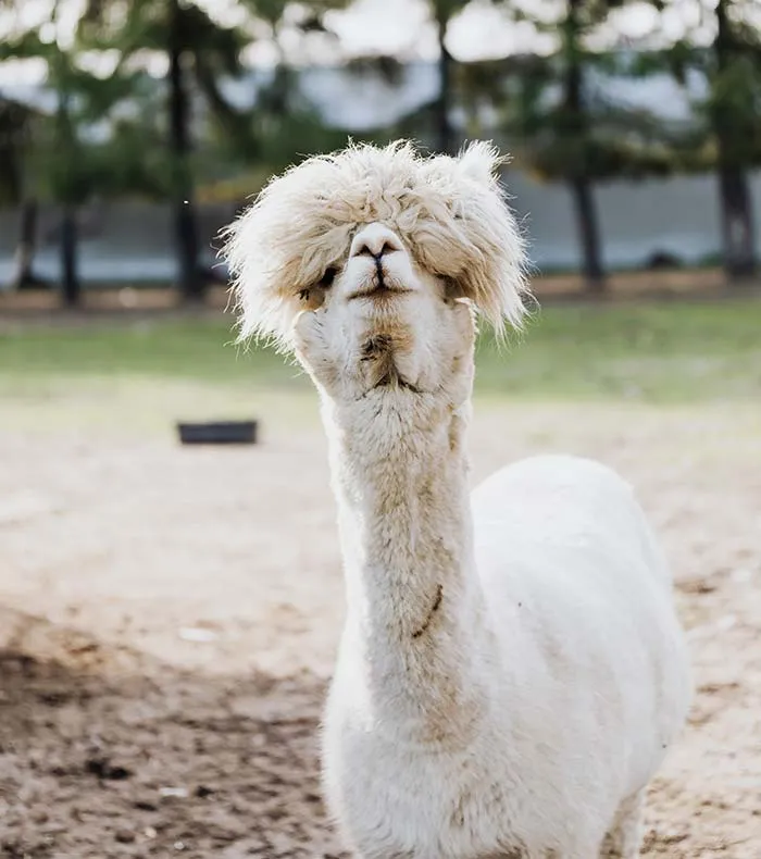 35 Situations People In This Online Thread Have Been In That Are So Bizarre Nobody Believes Them
