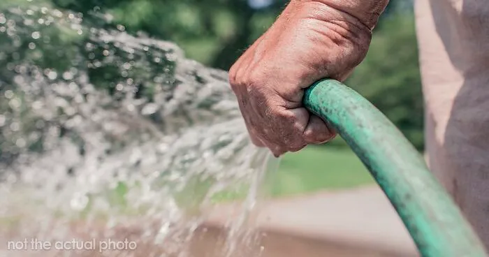 "None Of Them Were Willing To Apologize For Their Children's Actions": Guy Sprays Thieving Kids With Garden Hose