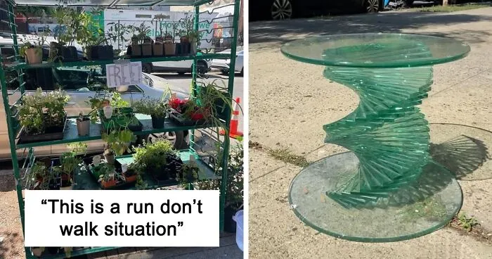 People Share What They Found Thrown Away, And The Phrase ‘One Man’s Trash Is Another Man’s Treasure’ Has Never Been So Real (40 New Pics)