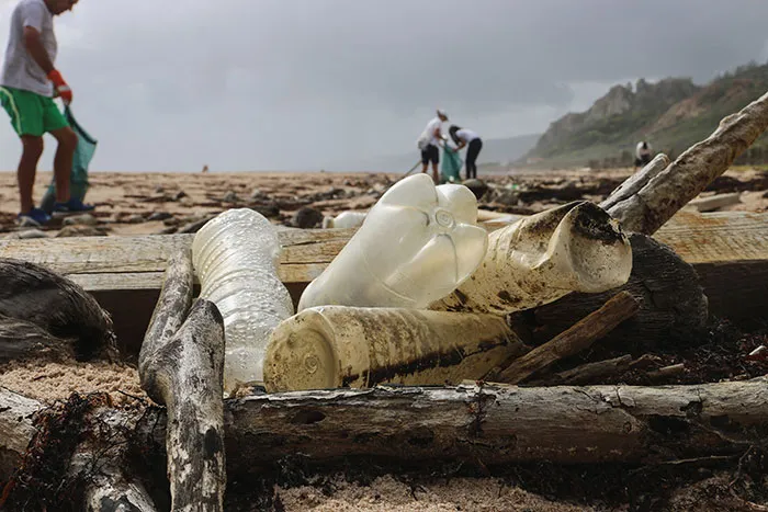 Clean Beach
