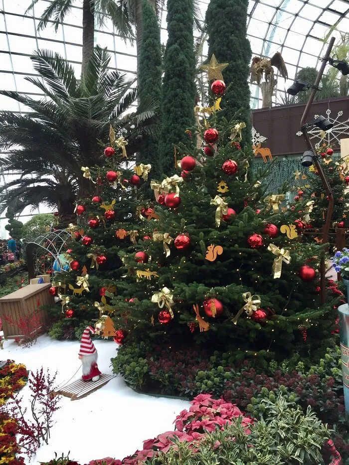 Christmas At Gardens By The Bay, Singapore