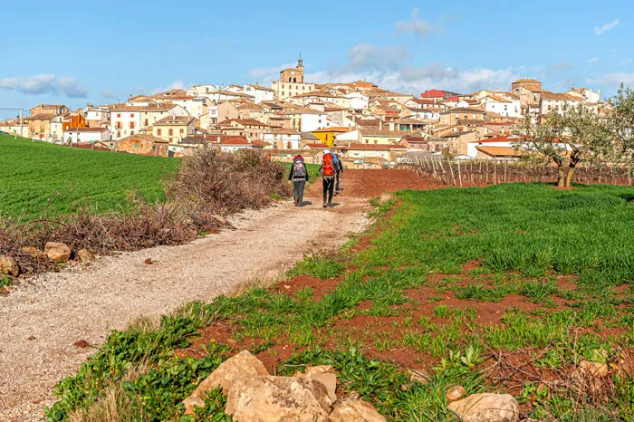 Walk The Spanish El Camino De Santiago De Compostela