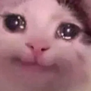 Your_Local_CrazyCat