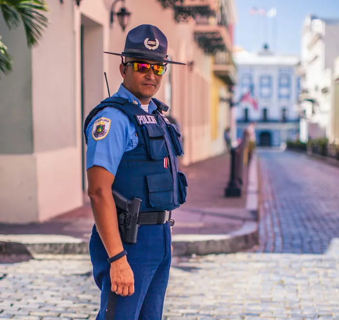 Fake Police Officers