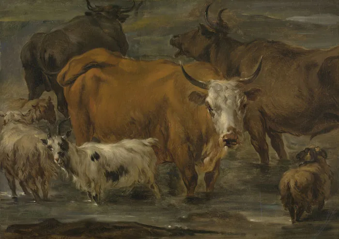 Animal Study (17th Century) By Nicolaes Berchem