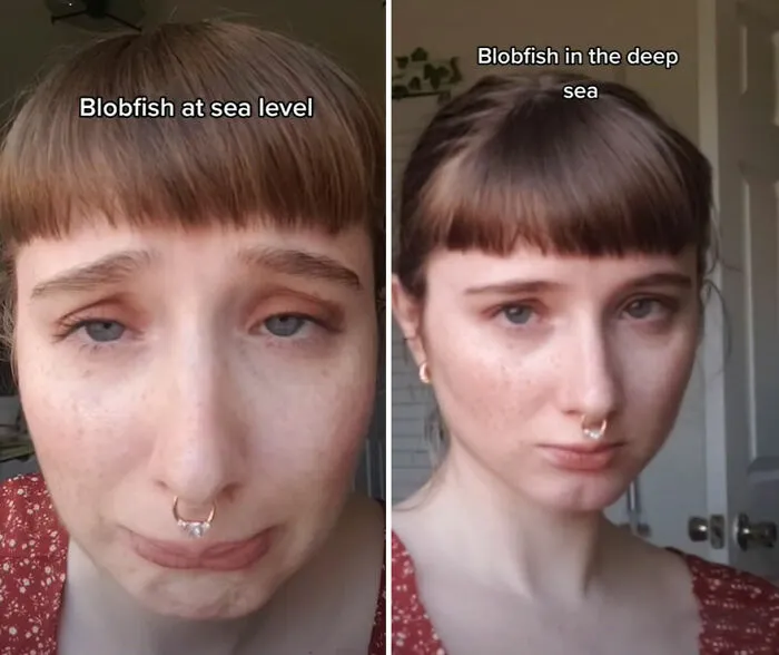 TikTok Selfie Trend Has People Surprised By How They Really Look And Here Are 35 Side-By-Side Comparisons