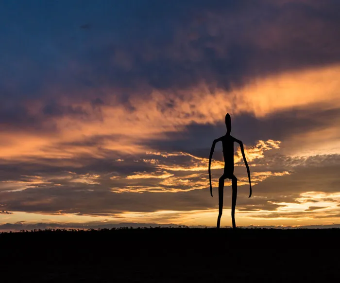 Alien Encounter