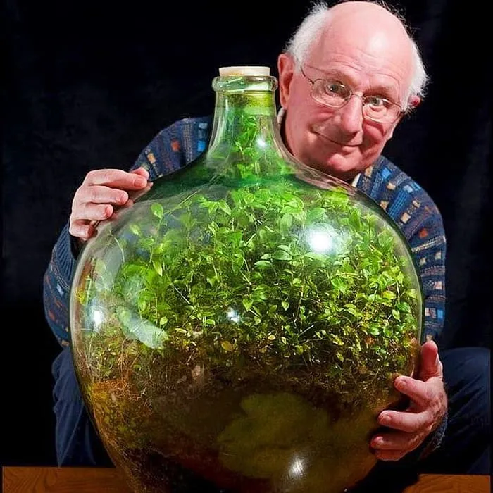 En 1960, David Latimer plantó un pequeño jardín dentro de una gran botella de vidrio y la cerró herméticamente