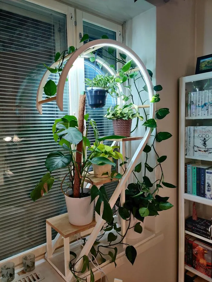 A Plant Shelf I Made For The Girlfriend