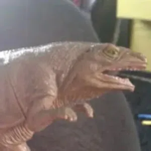 MagicFrog