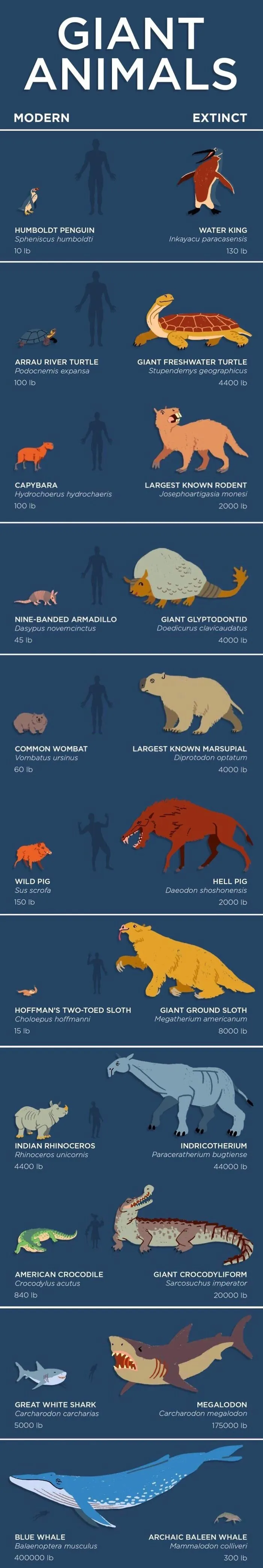 Most Animals Used To Be A Lot Bigger