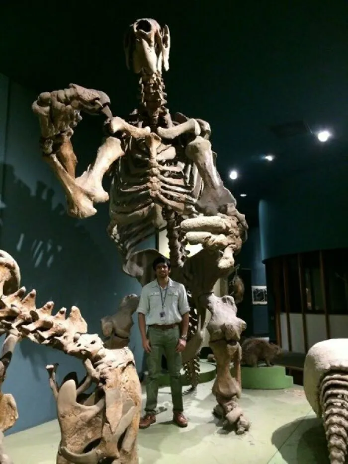 The Giant Ground Sloth Eremotherium