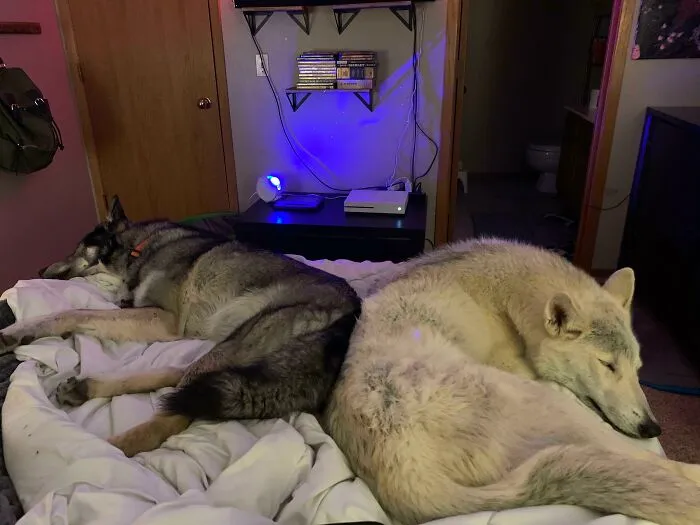 Creo que necesitamos una cama más grande