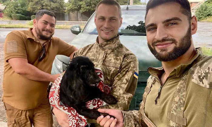 50 Photos Of Cats And Dogs Rescued By Ukrainian Soldiers, Shared By This Instagram Account