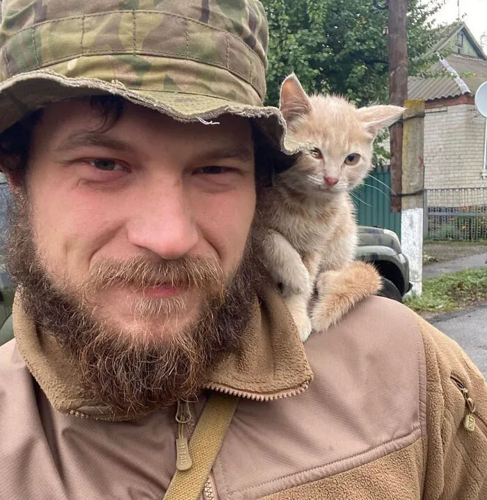 50 Photos Of Cats And Dogs Rescued By Ukrainian Soldiers, Shared By This Instagram Account