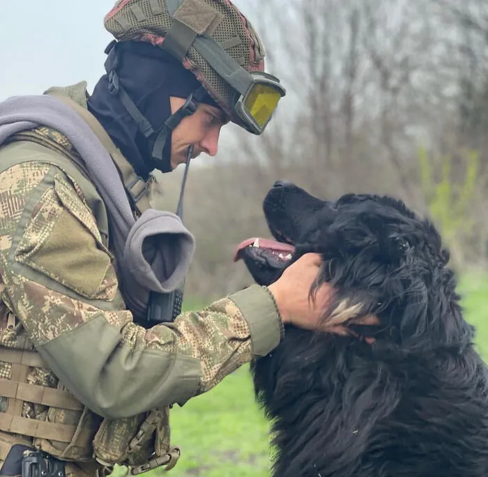 50 Photos Of Cats And Dogs Rescued By Ukrainian Soldiers, Shared By This Instagram Account