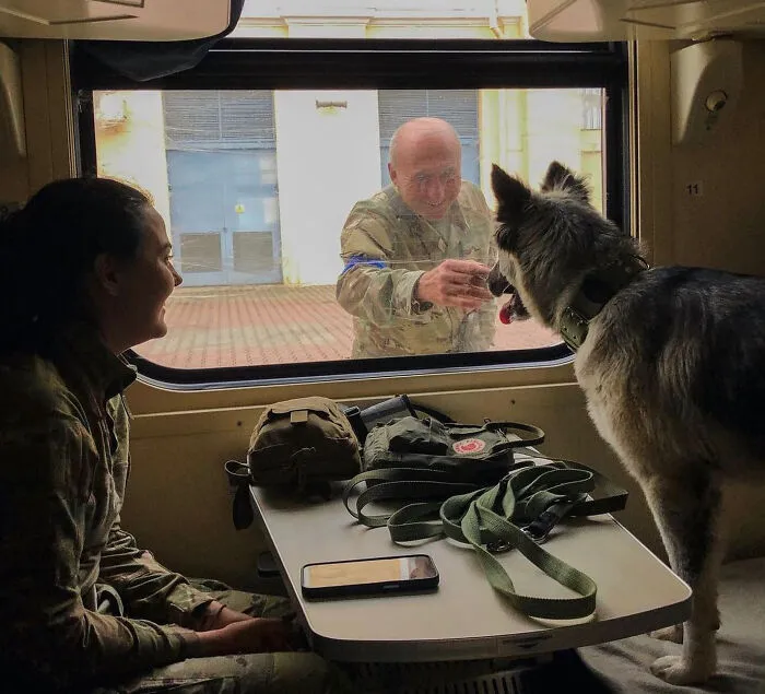50 Photos Of Cats And Dogs Rescued By Ukrainian Soldiers, Shared By This Instagram Account