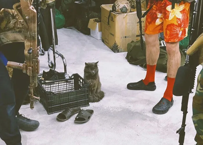 50 Photos Of Cats And Dogs Rescued By Ukrainian Soldiers, Shared By This Instagram Account