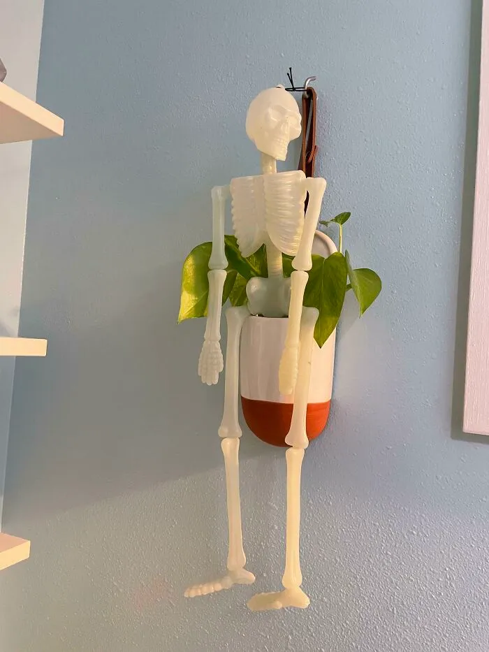 My Kids Put Up Halloween Decorations And I Found This Jerk Pooping In My Plant Pot. He Looks Very Pleased With Himself