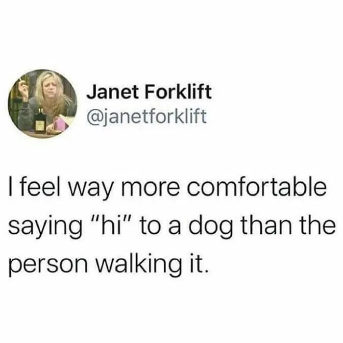 Not what I expected, but okay