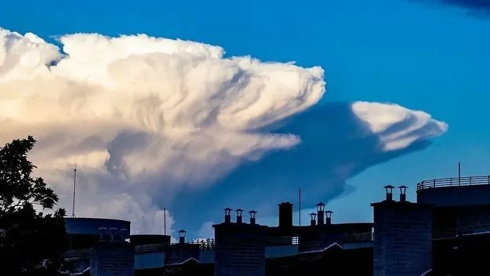 Anyone Else See A Bear?