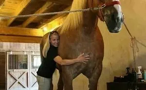 50 Massive Things That Are A Big ‘I’m Outta Here’ For People With Megalophobia (New Pics)