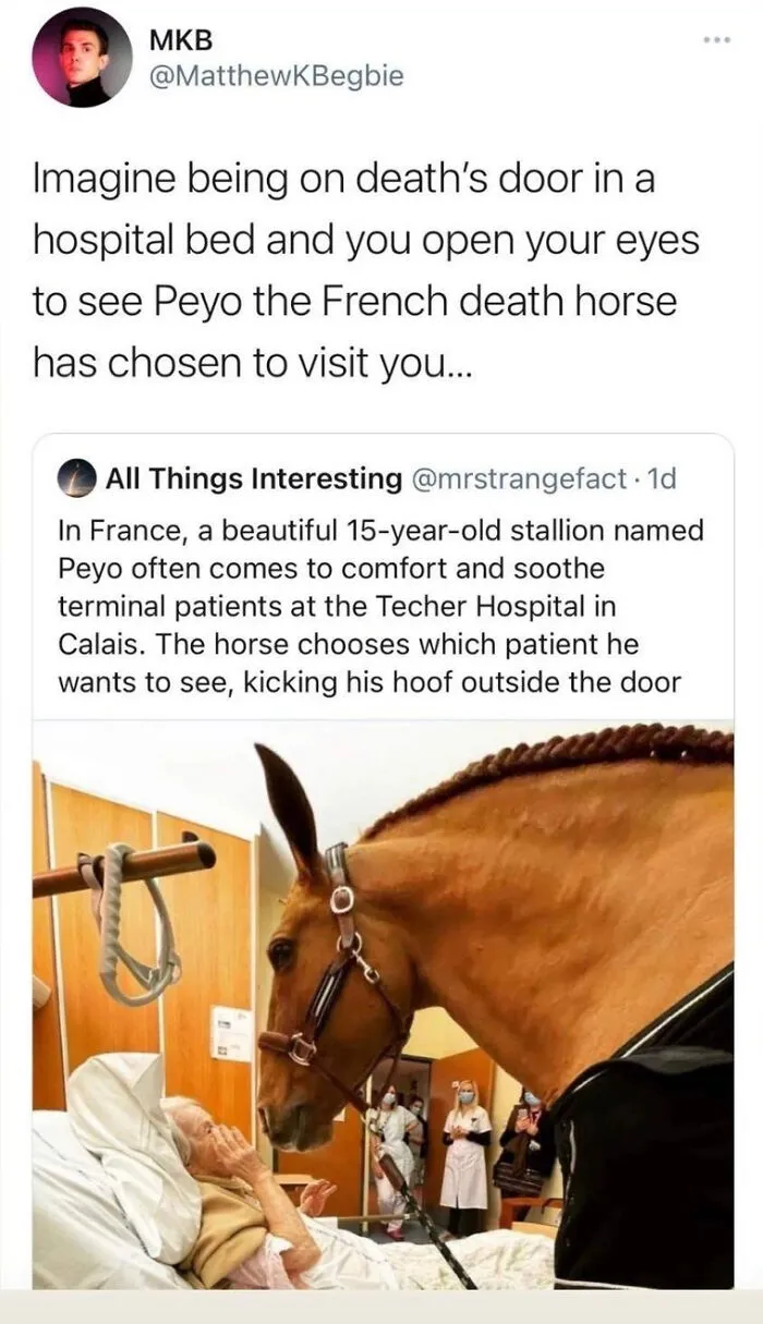 Imagine This Showing Up In Your Hospital Room