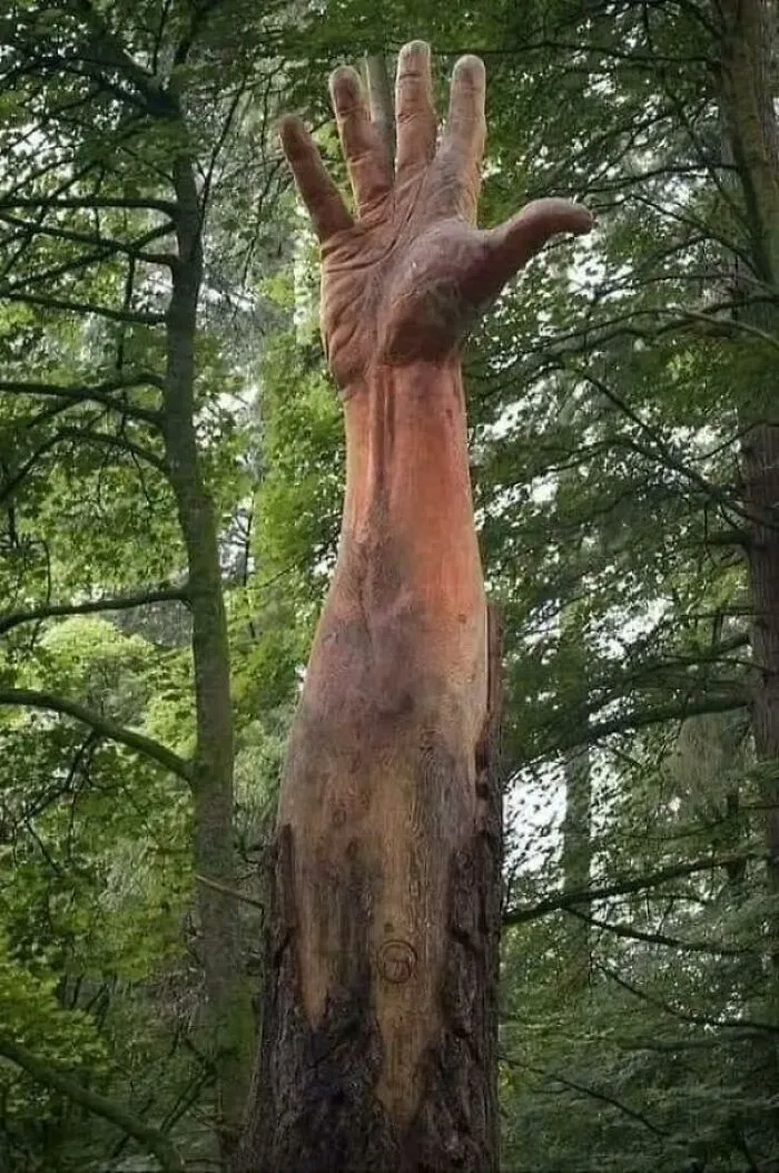The Tallest Tree In Wales Got Damaged By A Storm And Was Supposed To Be Cut Down, Instead Chainsaw Artist Simon O’rourke Found A Better Solution To Symbolize The Tree’s Last Attempt To Reach The Sky