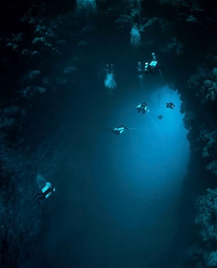 Into the Blue Unknown