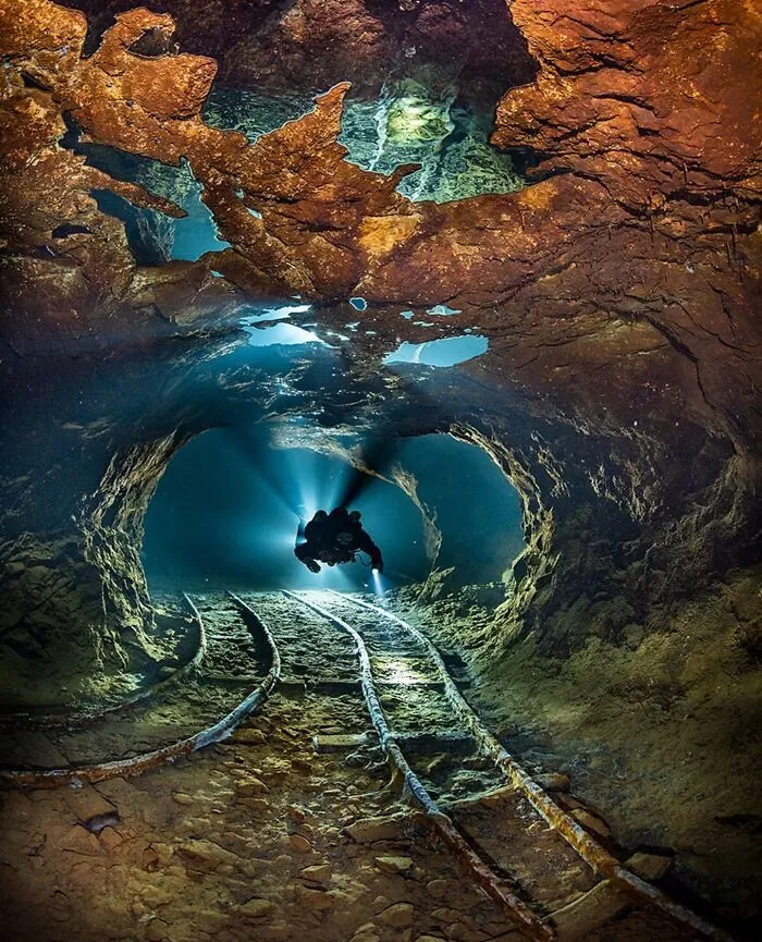 Into the Abyss